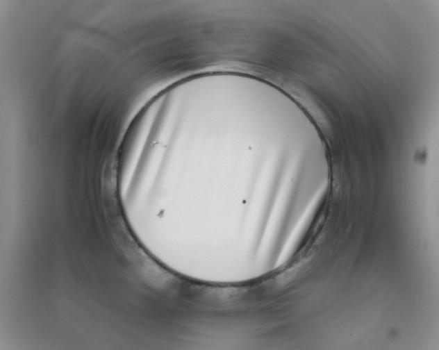 X0000090701292200708171838