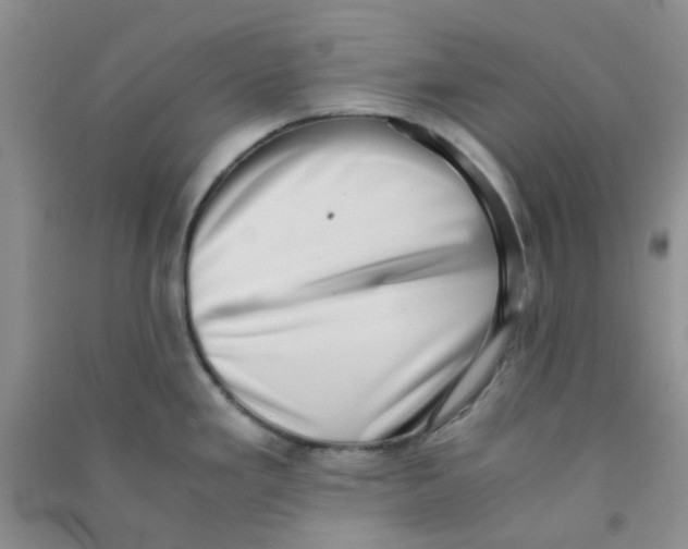 X0000090701293200708171838