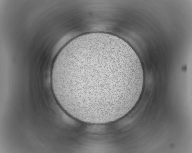 X0000090701294200708171838