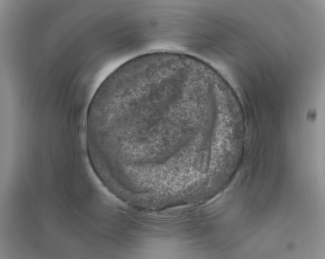 X0000090701295200708171838