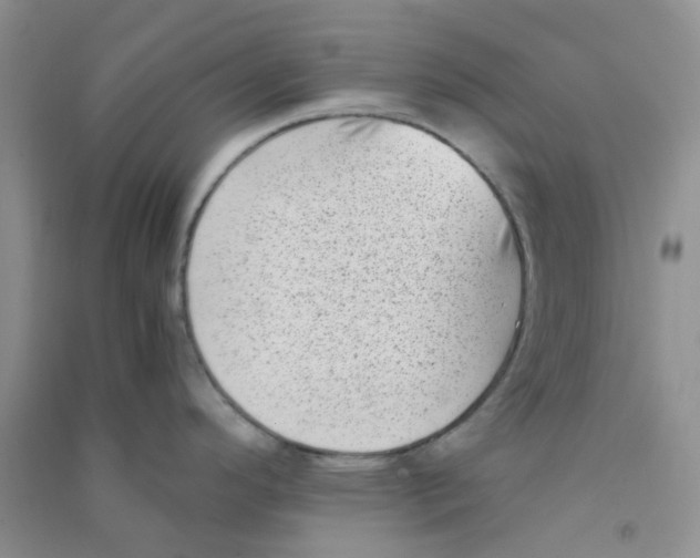 X0000090701296200708171838