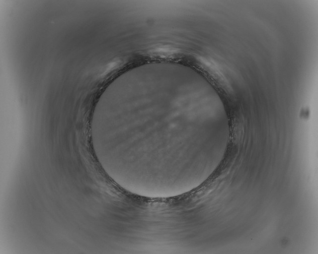 X0000090701297200708171838