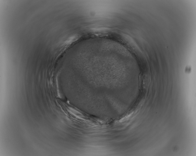 X0000090701298200708171838