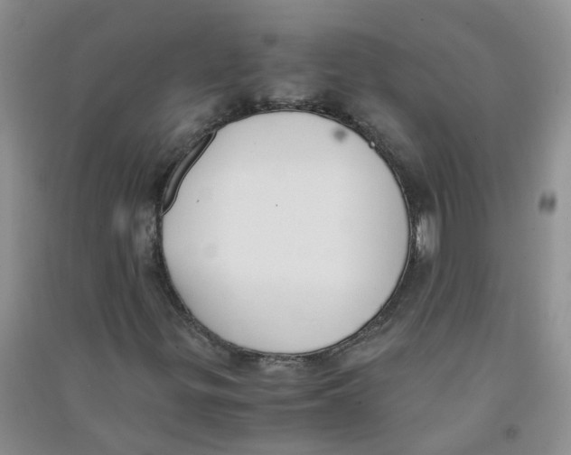 X0000090701299200708171838