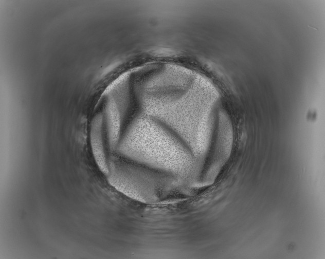 X0000090701301200708171838