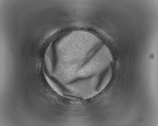 X0000090701302200708171838