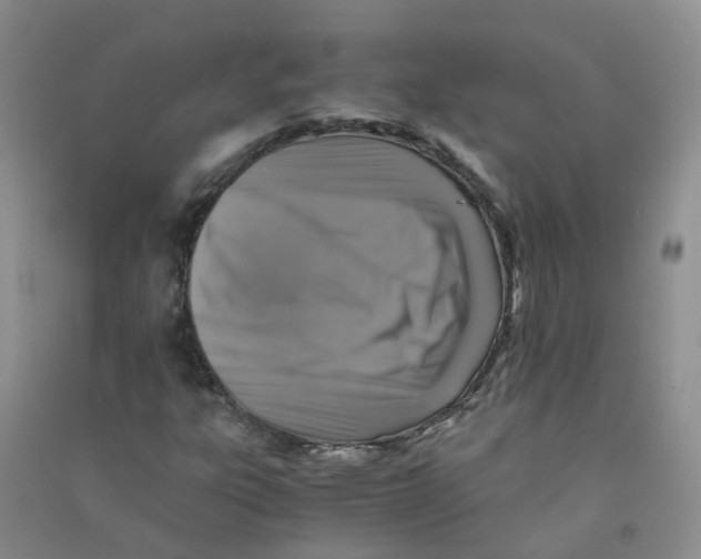 X0000090701303200708171838