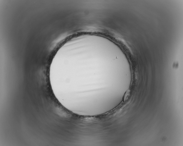 X0000090701304200708171838