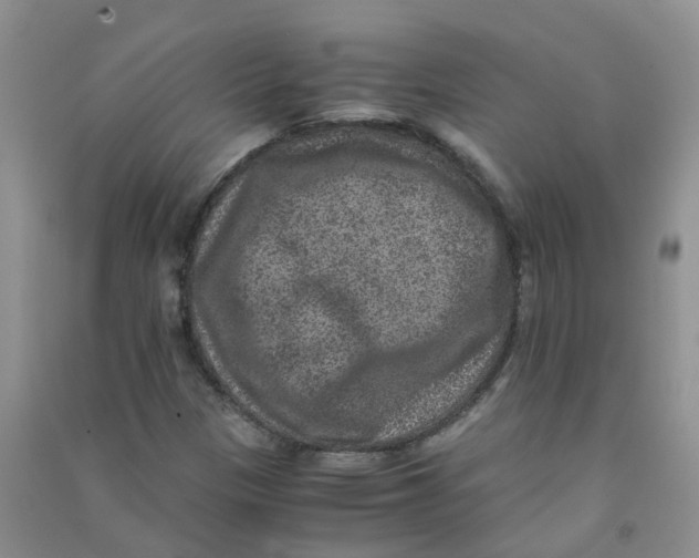 X0000090701305200708171838