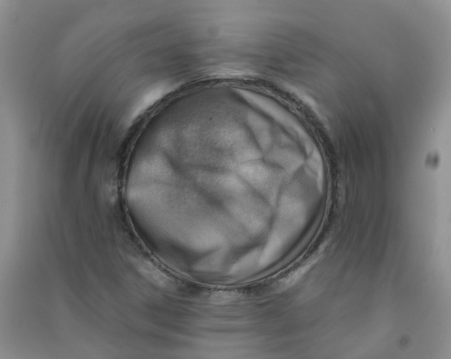 X0000090701306200708171838