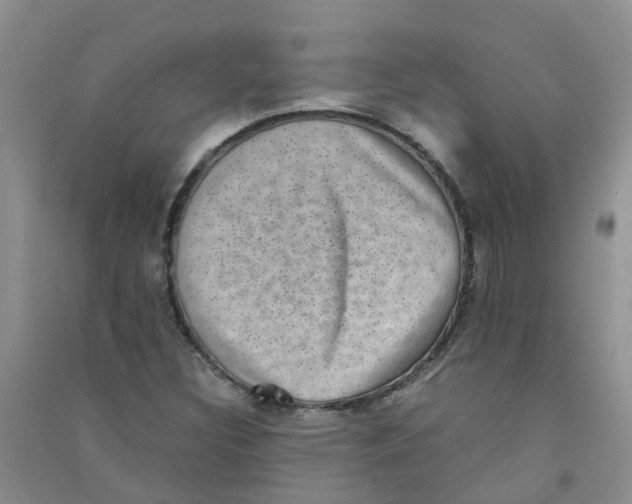 X0000090701308200708171838