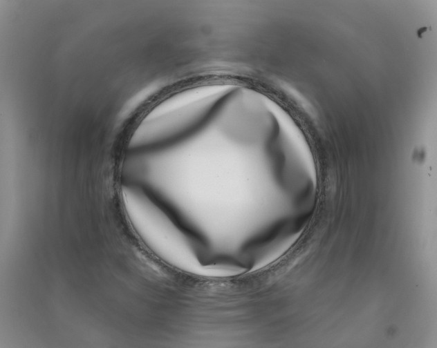 X0000090701310200708171838