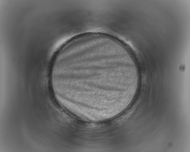 X0000090701311200708171838