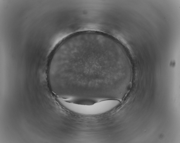 X0000090701312200708171838