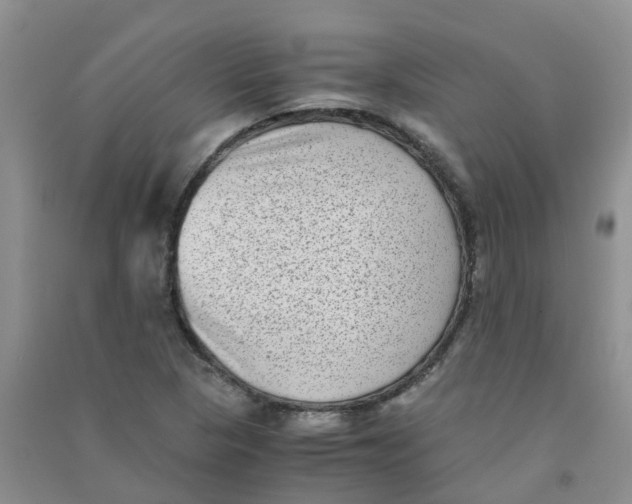 X0000090701313200708171838