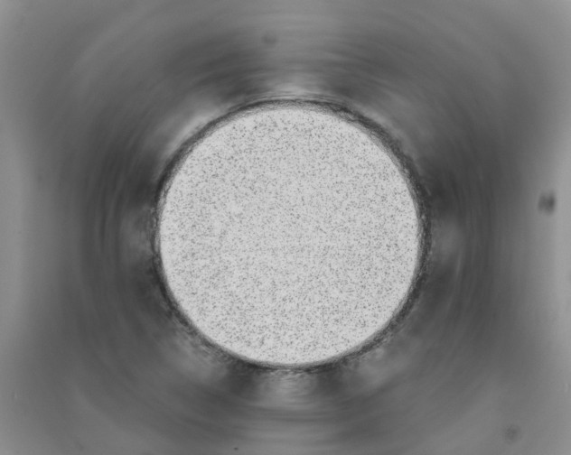 X0000090701314200708171838