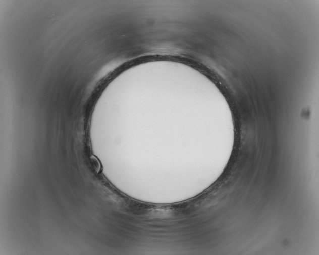 X0000090701315200708171838