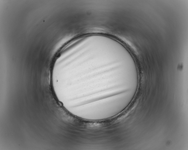 X0000090701317200708171838