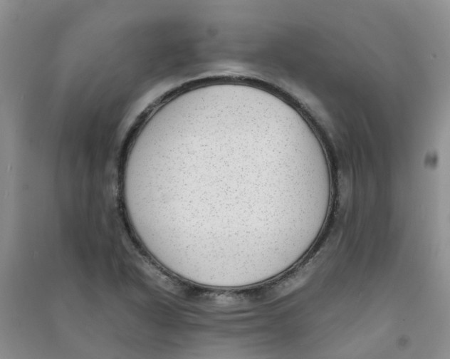 X0000090701318200708171838