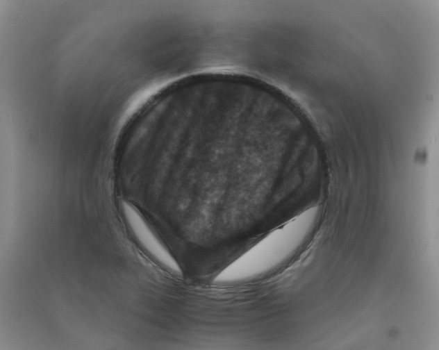 X0000090701319200708171838