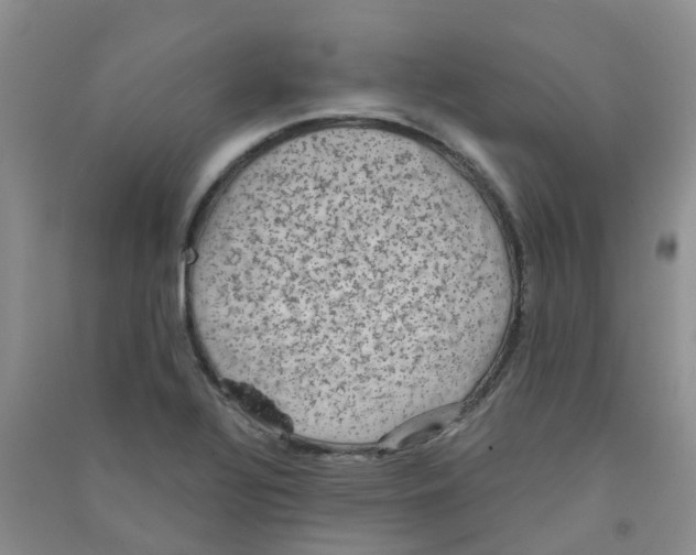 X0000090701320200708171838