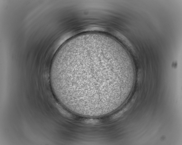 X0000090701321200708171838