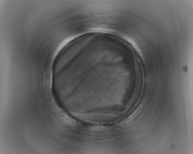 X0000090701323200708171838