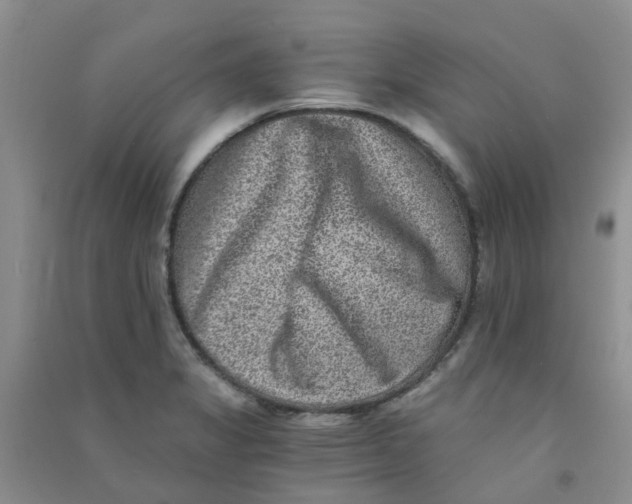 X0000090701325200708171838