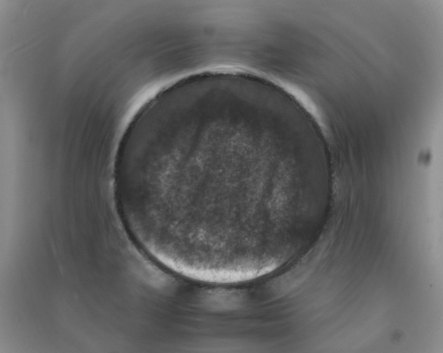 X0000090701327200708171838