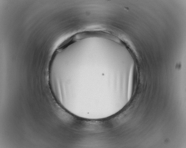 X0000090701328200708171838