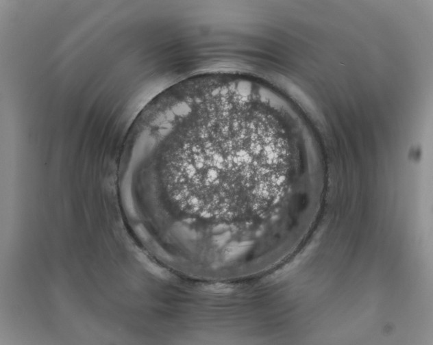 X0000090701329200708171838