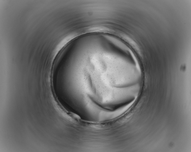 X0000090701330200708171838