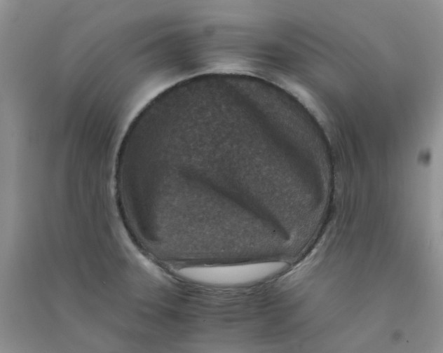 X0000090701331200708171838