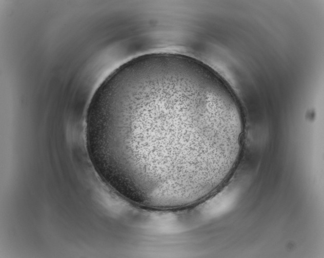 X0000090701332200708171838