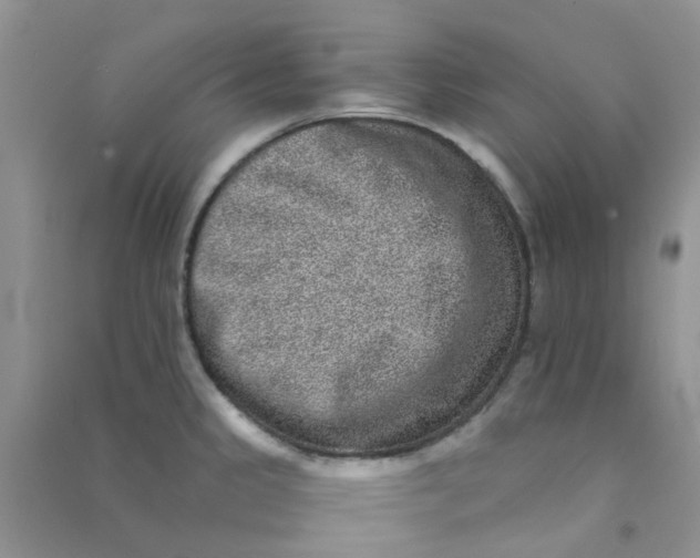 X0000090701333200708171838