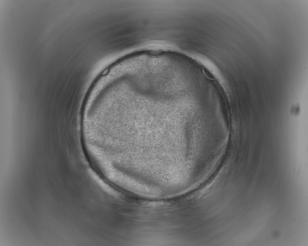 X0000090701335200708171838