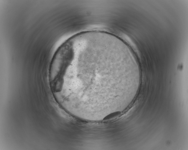 X0000090701336200708171838