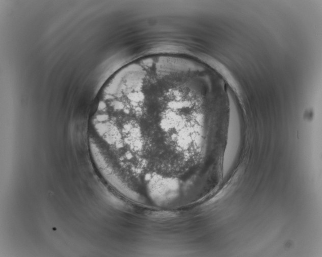 X0000090701337200708171838