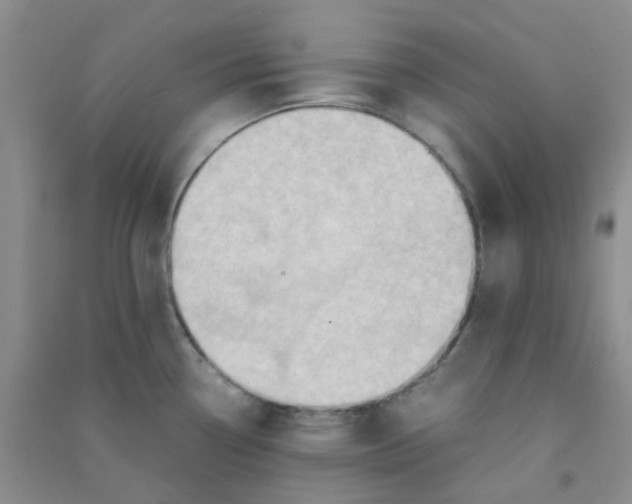 X0000090701338200708171838