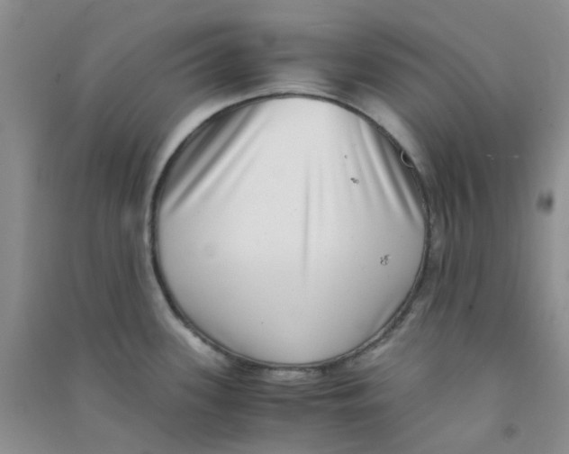 X0000090701339200708171838