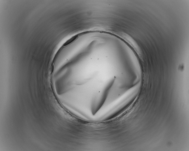 X0000090701340200708171838