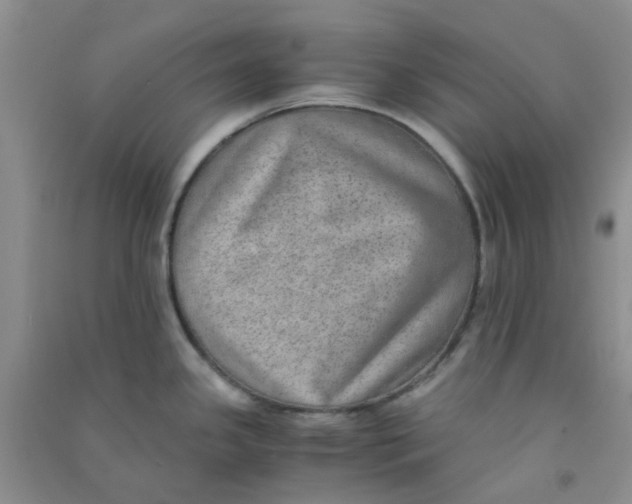 X0000090701341200708171838