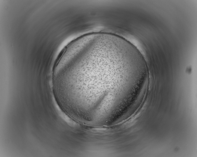 X0000090701342200708171838