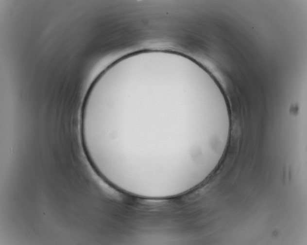 X0000090701343200708171838