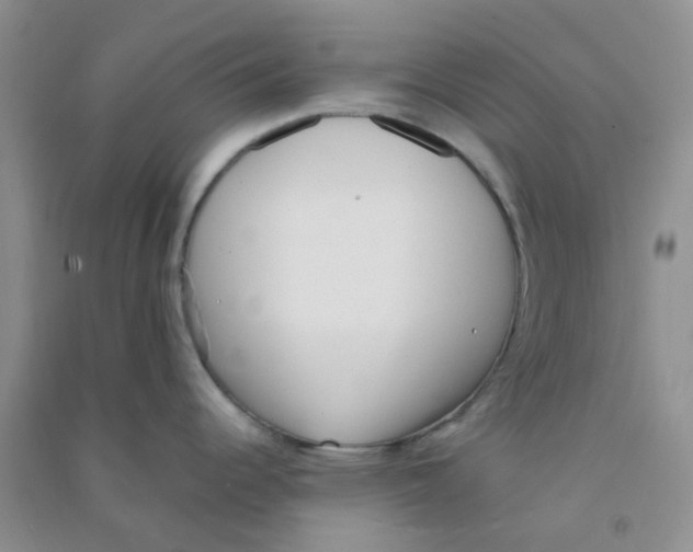 X0000090701344200708171838