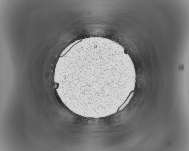 X0000090701345200708171838