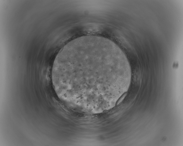 X0000090701346200708171838