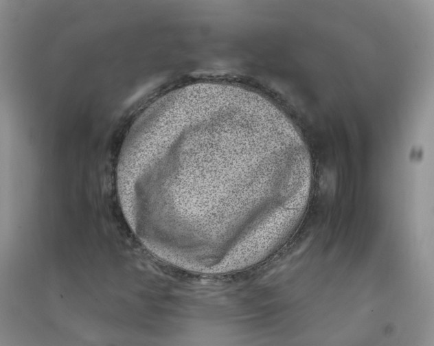 X0000090701350200708171838