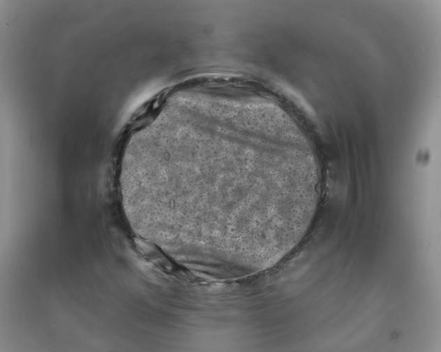 X0000090701352200708171838