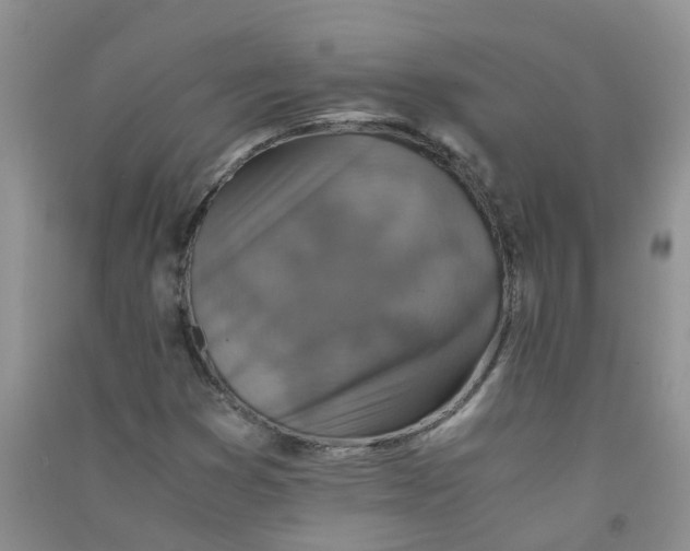 X0000090701353200708171838